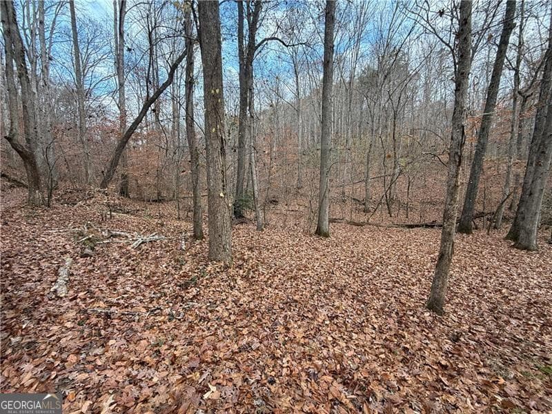 unimproved land for sale at 0 Falling Pines Road, Dahlonega, GA 30533 — photo 5