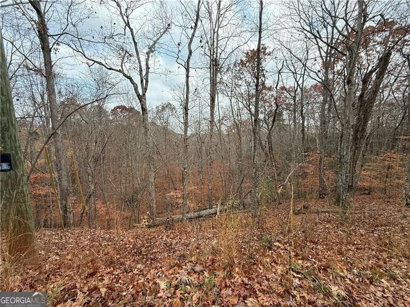 unimproved land for sale at 0 Falling Pines Road, Dahlonega, GA 30533 — photo 9