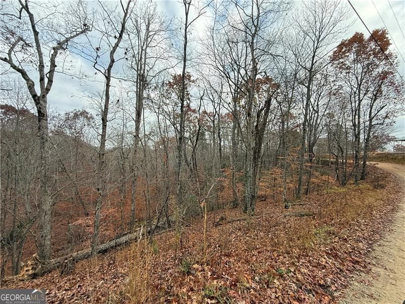 unimproved land for sale at 0 Falling Pines Road, Dahlonega, GA 30533 — photo 8
