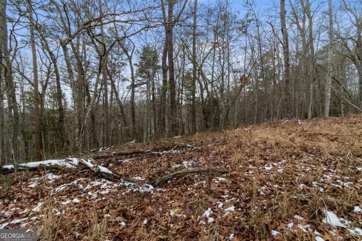 residential lot for sale at TR4 Curtis Ridge Road 4, Blue Ridge, GA 30513 — photo 2