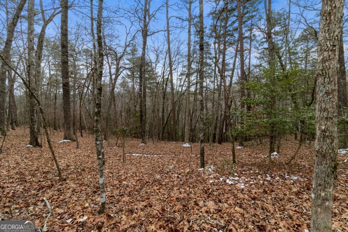 residential lot for sale at TR4 Curtis Ridge Road 4, Blue Ridge, GA 30513 — photo 6
