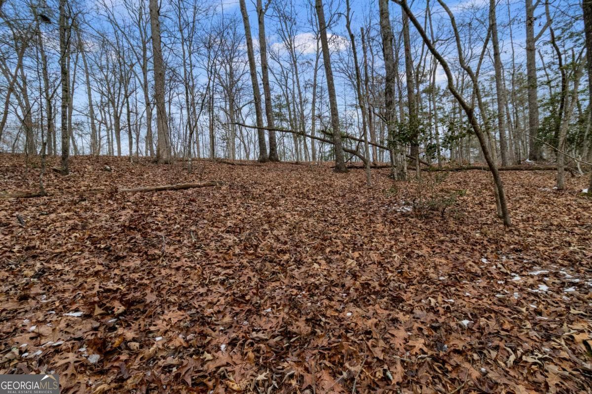residential lot for sale at TR4 Curtis Ridge Road 4, Blue Ridge, GA 30513 — photo 7