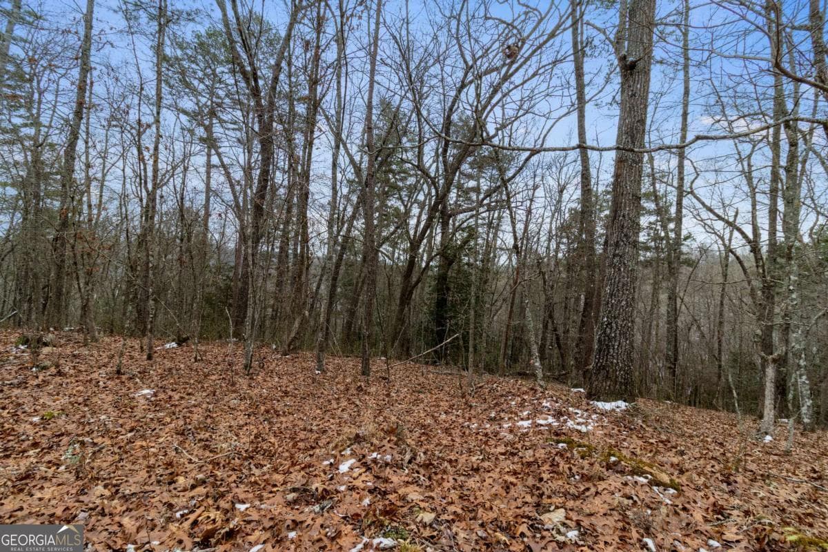 residential lot for sale at TR4 Curtis Ridge Road 4, Blue Ridge, GA 30513 — photo 3