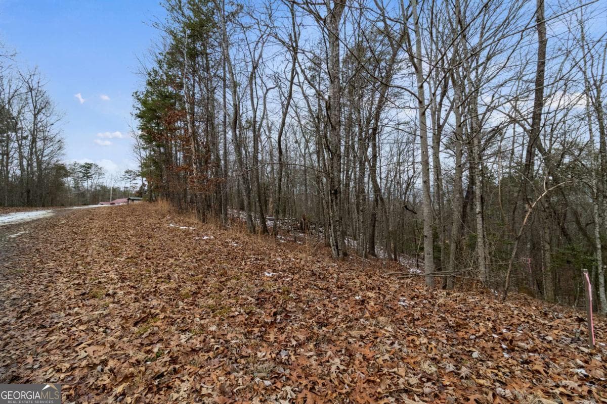 residential lot for sale at TR4 Curtis Ridge Road 4, Blue Ridge, GA 30513 — photo 1 of 13