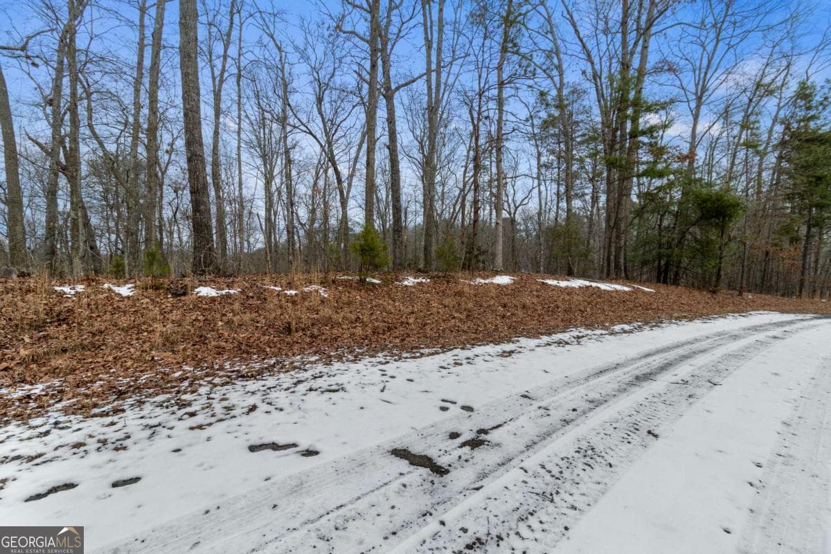 residential lot for sale at TR4 Curtis Ridge Road 4, Blue Ridge, GA 30513 — photo 5