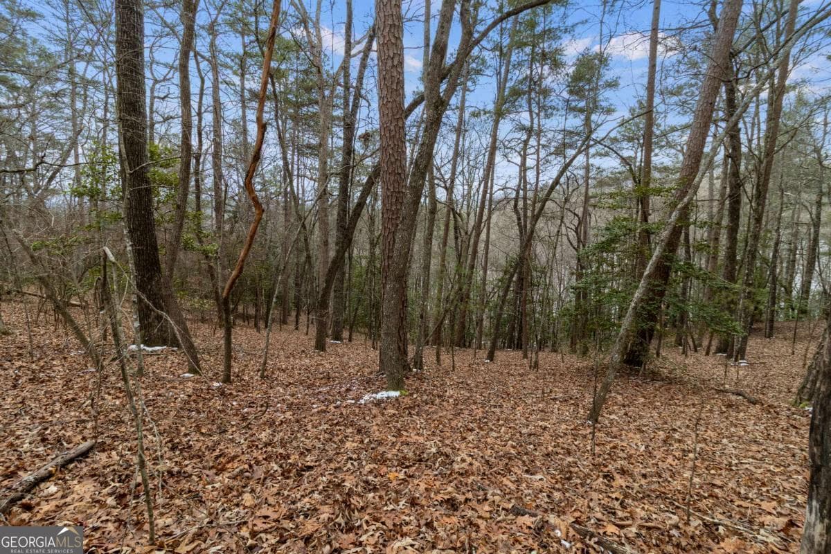 residential lot for sale at TR4 Curtis Ridge Road 4, Blue Ridge, GA 30513 — photo 9
