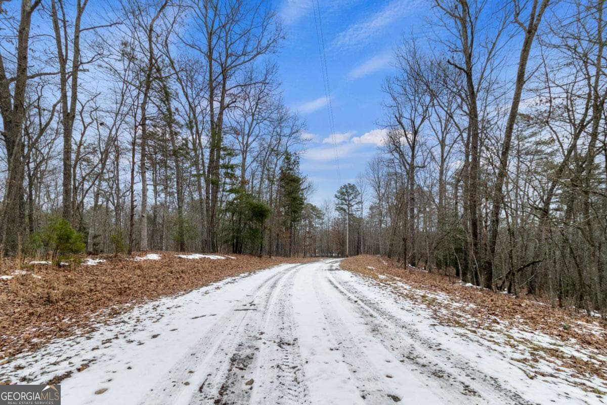 residential lot for sale at TR4 Curtis Ridge Road 4, Blue Ridge, GA 30513 — photo 10