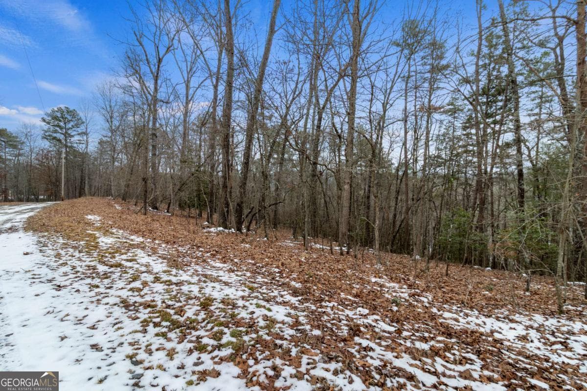 residential lot for sale at TR4 Curtis Ridge Road 4, Blue Ridge, GA 30513 — photo 4