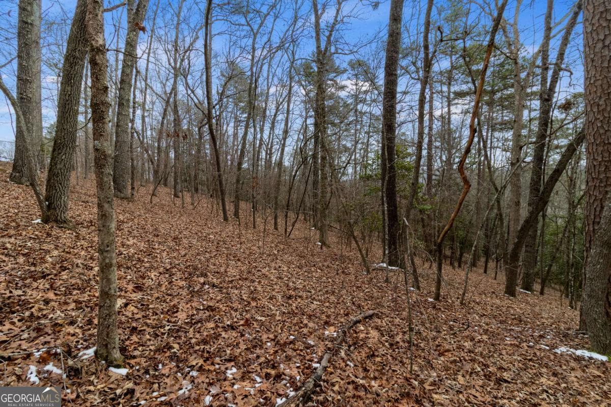 residential lot for sale at TR4 Curtis Ridge Road 4, Blue Ridge, GA 30513 — photo 8