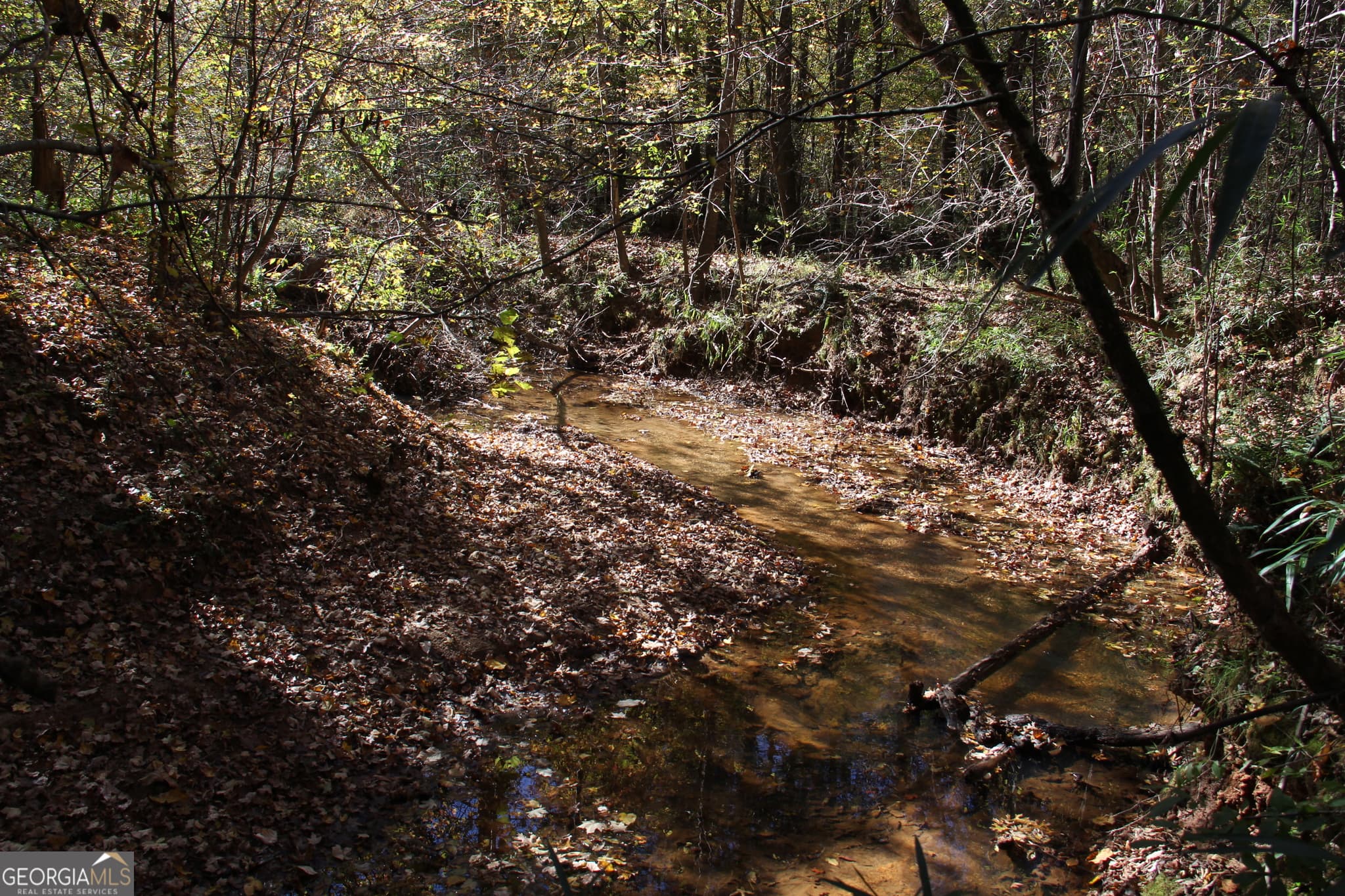 unimproved land for sale at 504 Jenkins Road, Forsyth, GA 31029 — photo 6
