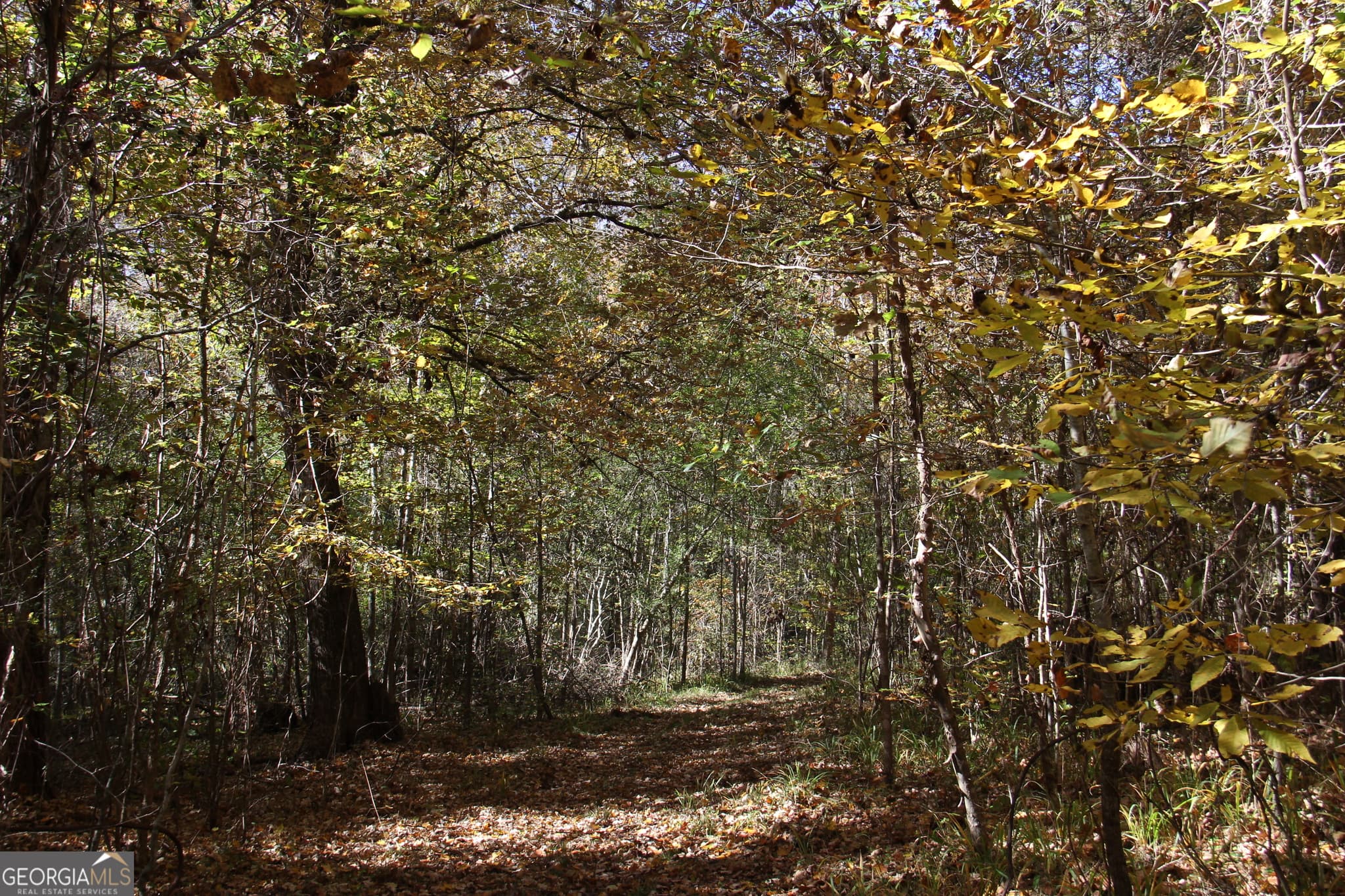 unimproved land for sale at 504 Jenkins Road, Forsyth, GA 31029 — photo 7