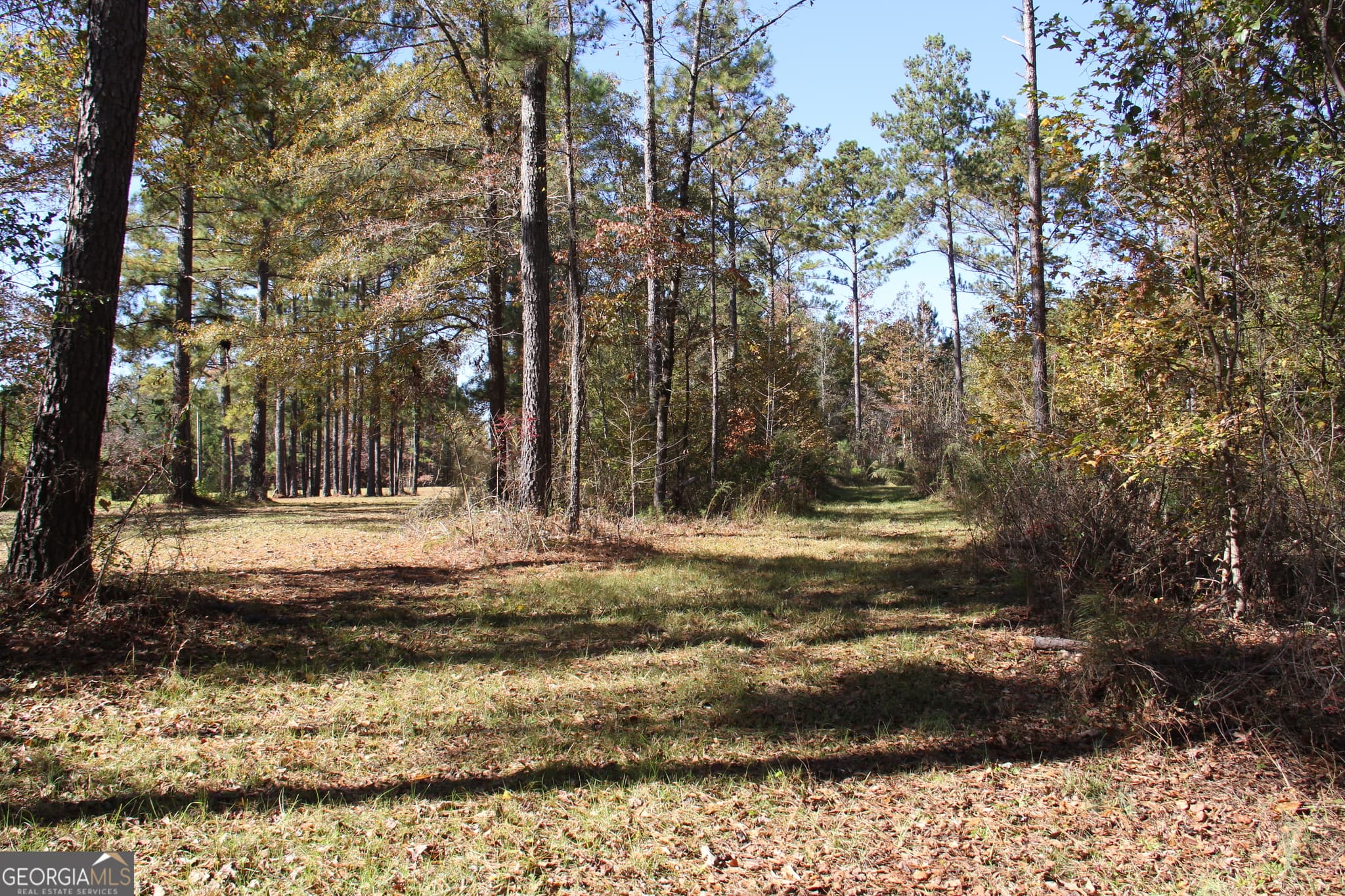 unimproved land for sale at 504 Jenkins Road, Forsyth, GA 31029 — photo 3