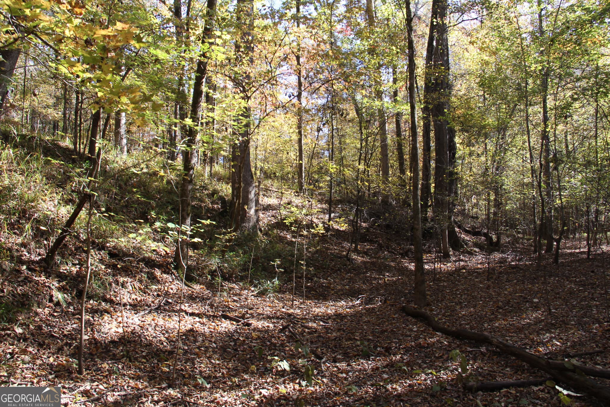 unimproved land for sale at 504 Jenkins Road, Forsyth, GA 31029 — photo 5