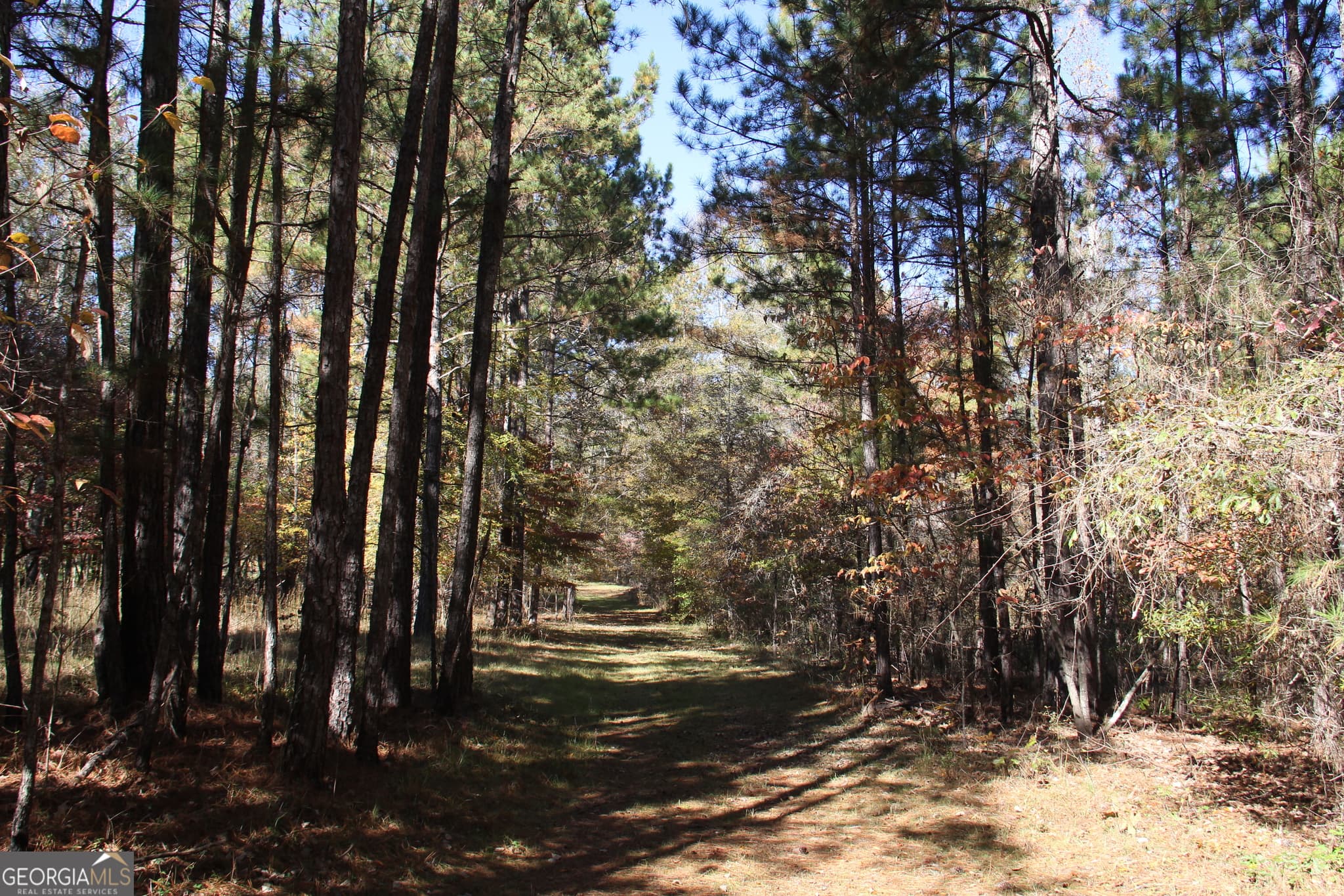 unimproved land for sale at 504 Jenkins Road, Forsyth, GA 31029 — photo 9
