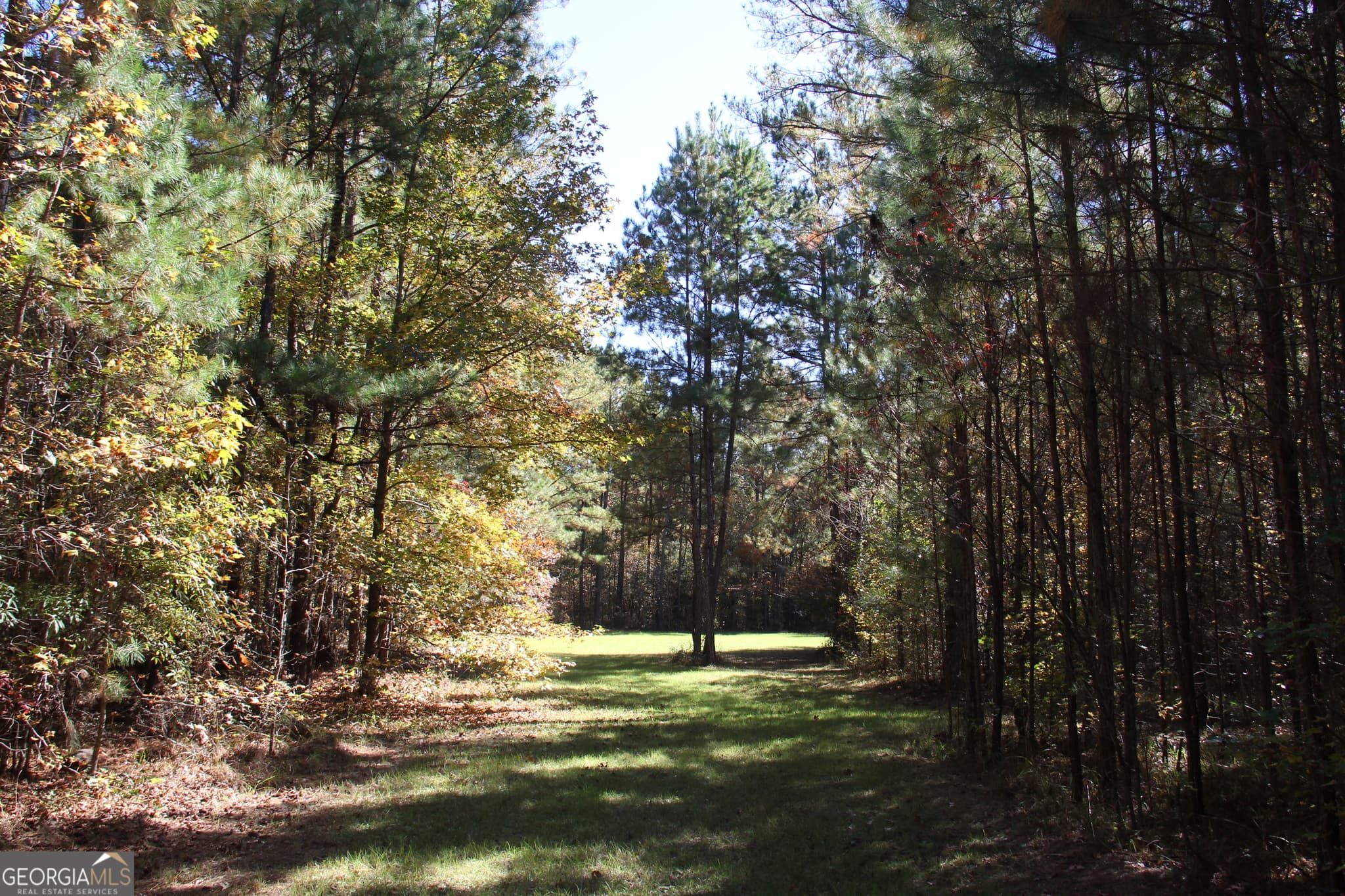 unimproved land for sale at 504 Jenkins Road, Forsyth, GA 31029 — photo 10