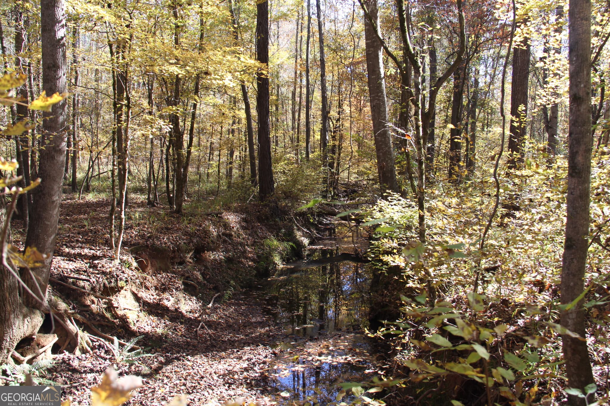 unimproved land for sale at 504 Jenkins Road, Forsyth, GA 31029 — photo 8