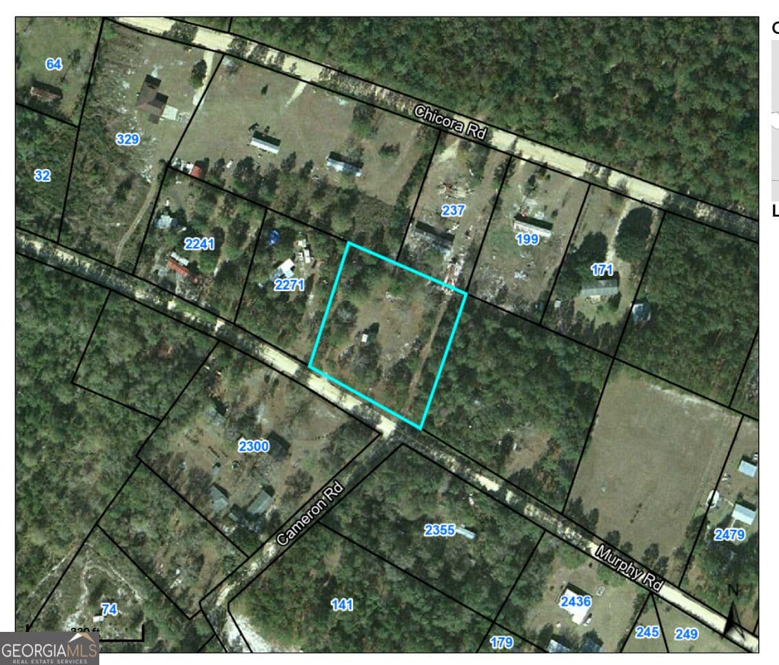 residential lot for sale at 2301 Murphy Road, Waynesville, GA 31566 — photo 6