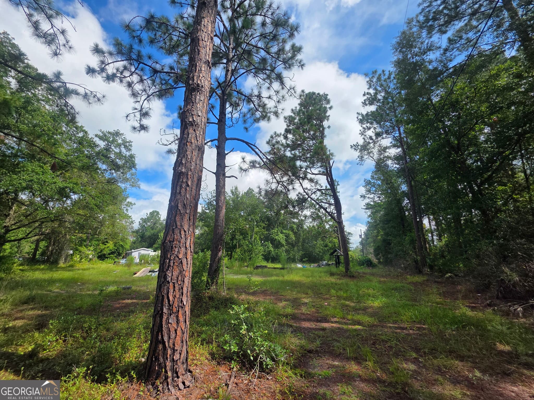 residential lot for sale at 2301 Murphy Road, Waynesville, GA 31566 — photo 4