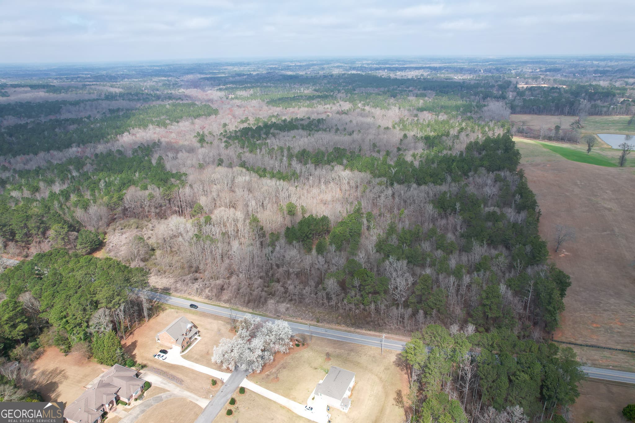 agriculture for sale at 1041 Ellis Road, Griffin, GA 30223 — photo 3