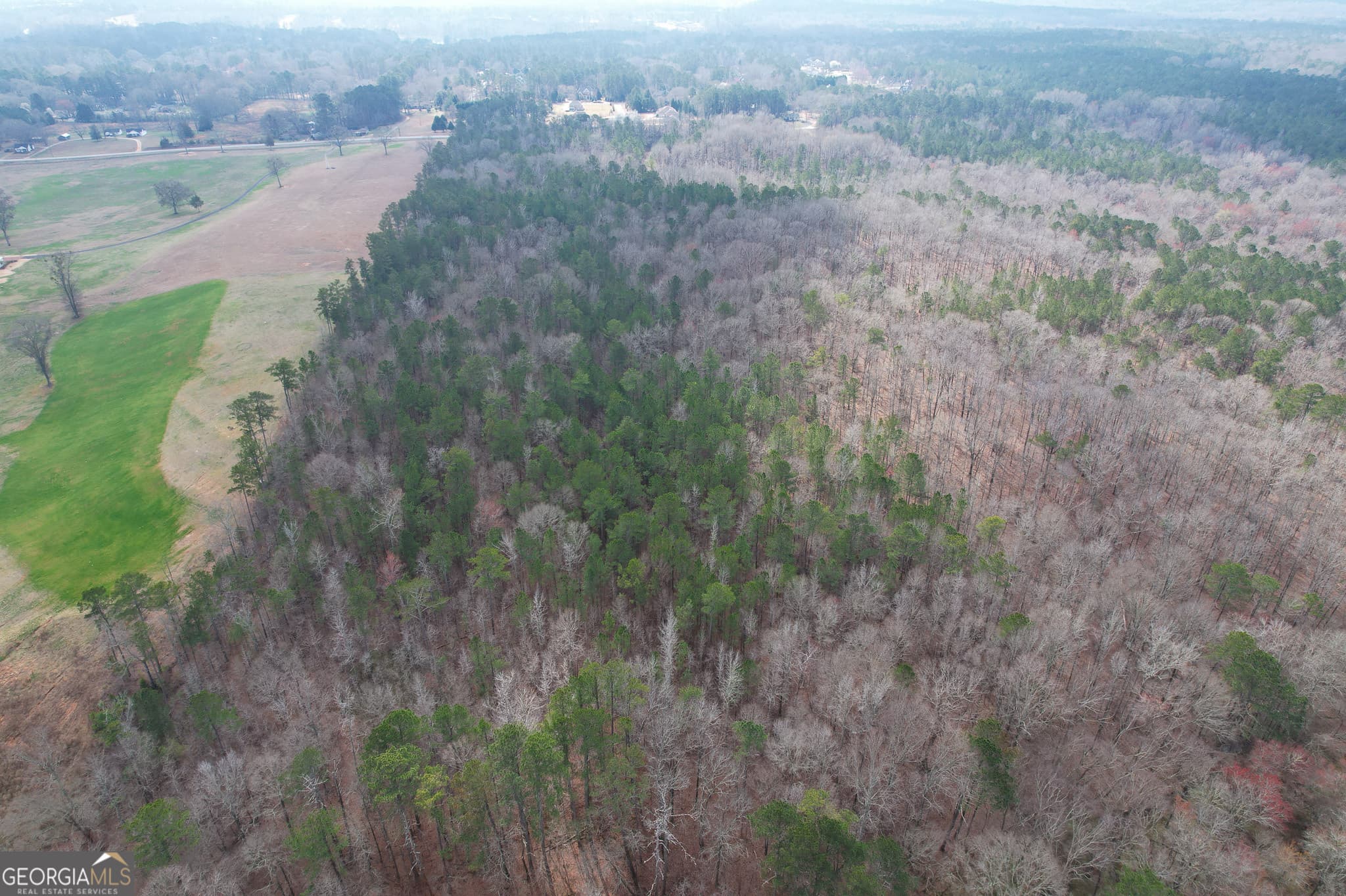 agriculture for sale at 1041 Ellis Road, Griffin, GA 30223 — photo 9