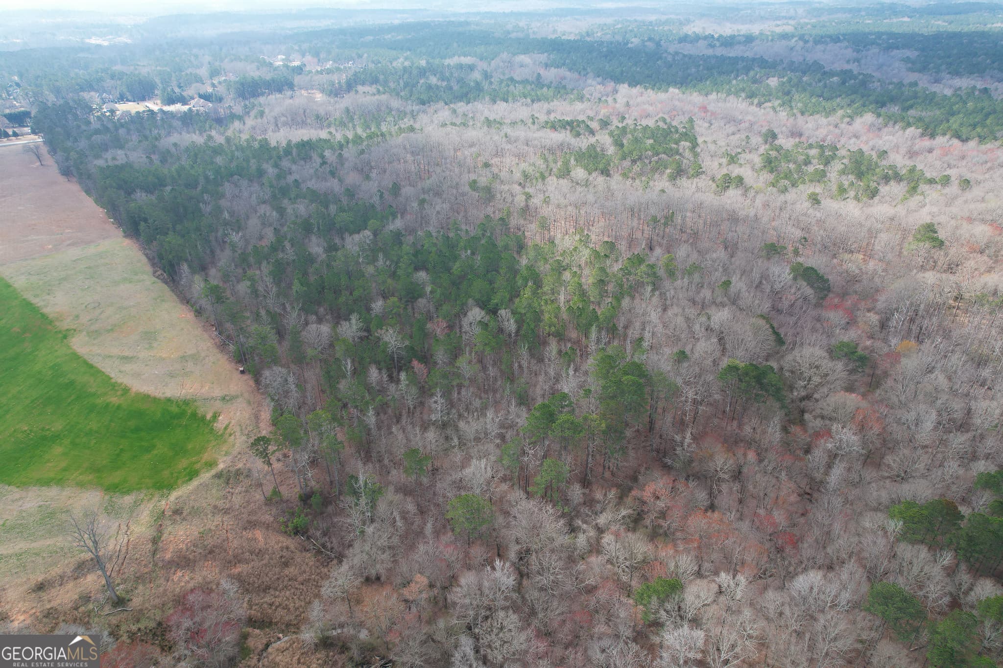 agriculture for sale at 1041 Ellis Road, Griffin, GA 30223 — photo 10