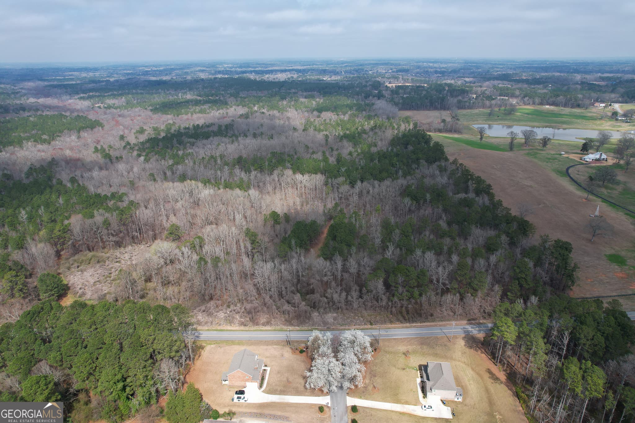 agriculture for sale at 1041 Ellis Road, Griffin, GA 30223 — photo 4