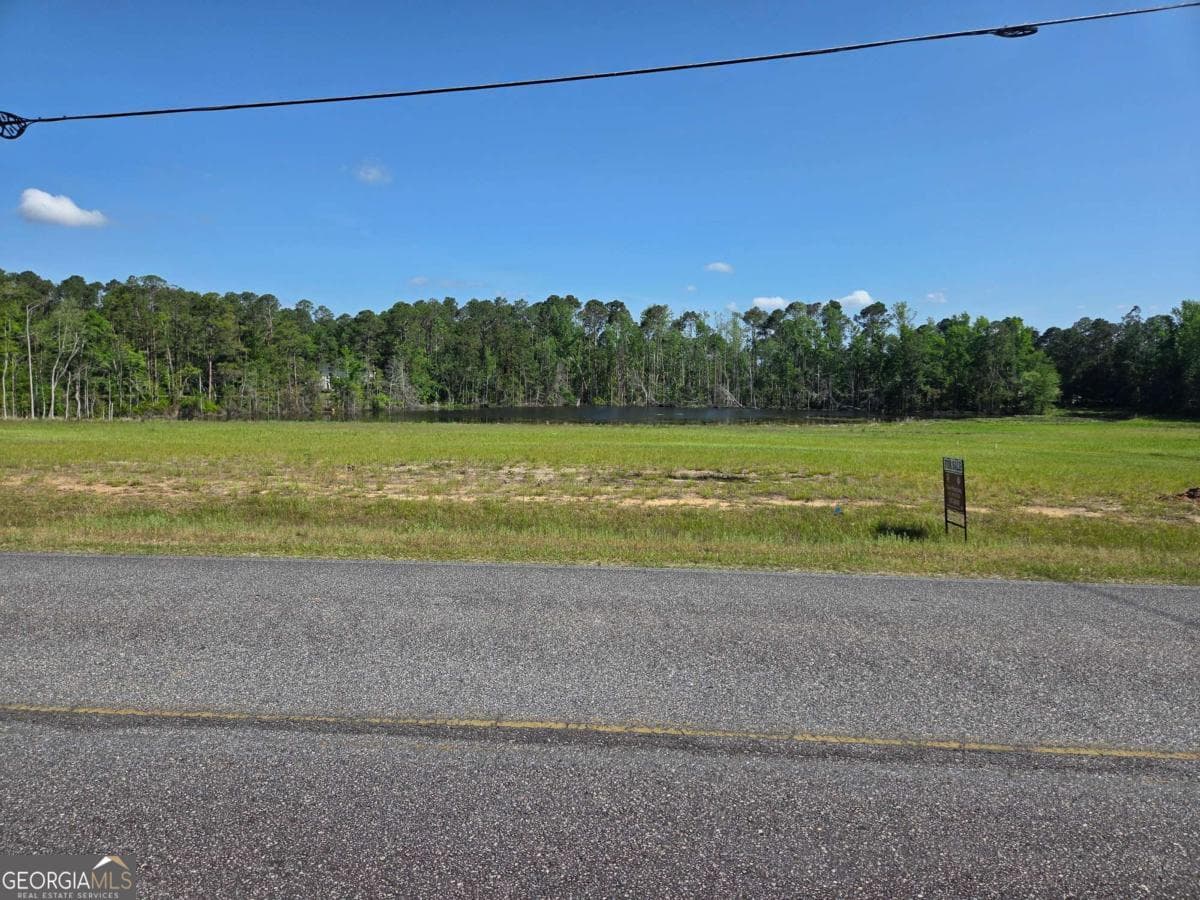 residential lot for sale at 150 W Willow Lake Drive, Metter, GA 30439 — photo 2