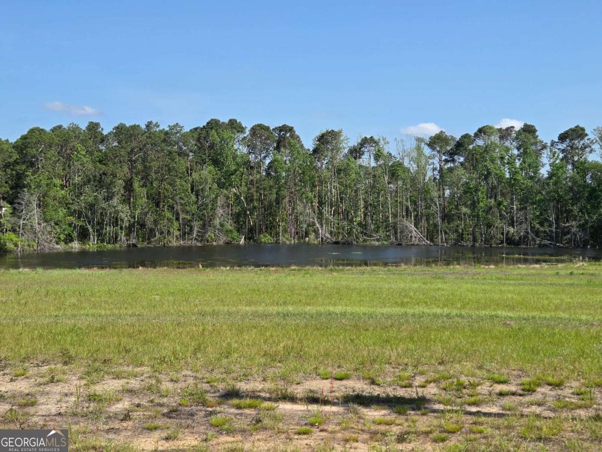 residential lot for sale at 150 W Willow Lake Drive, Metter, GA 30439