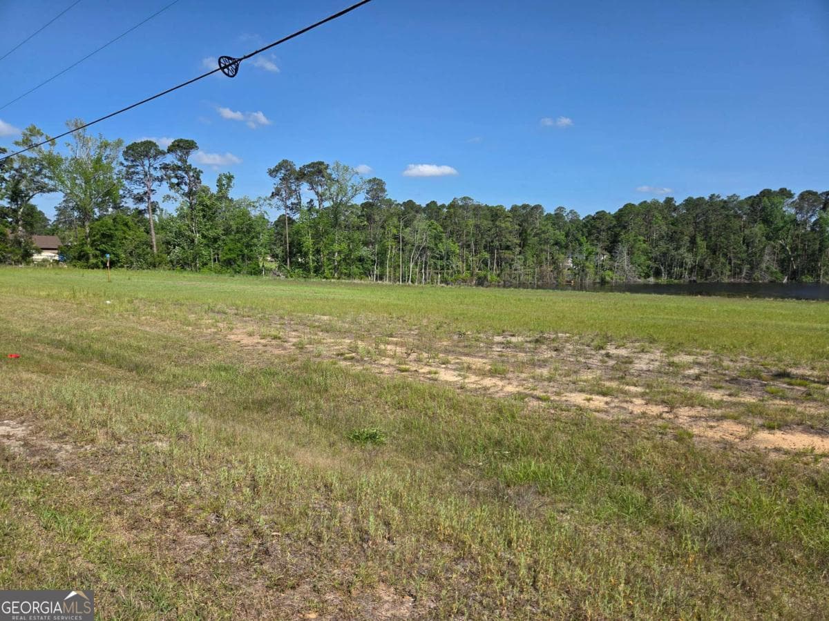 residential lot for sale at 150 W Willow Lake Drive, Metter, GA 30439 — photo 5