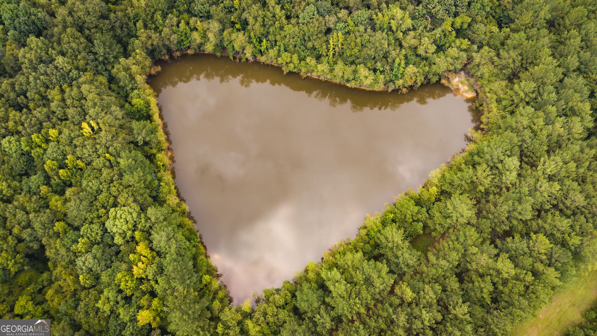 unimproved land for sale at 0 Chatham St Road, Montezuma, GA 31063 — photo 2
