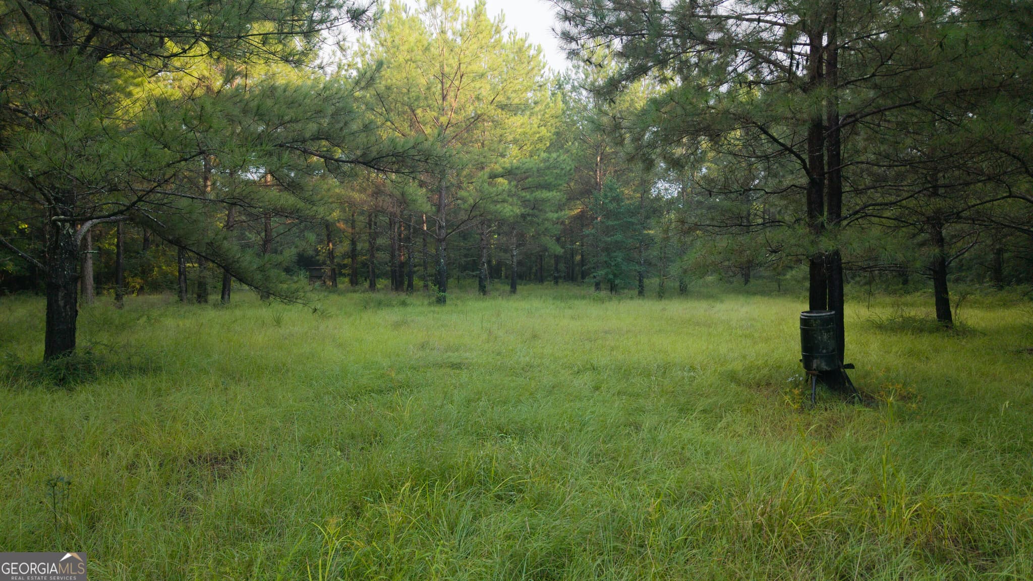 unimproved land for sale at 0 Chatham St Road, Montezuma, GA 31063 — photo 6