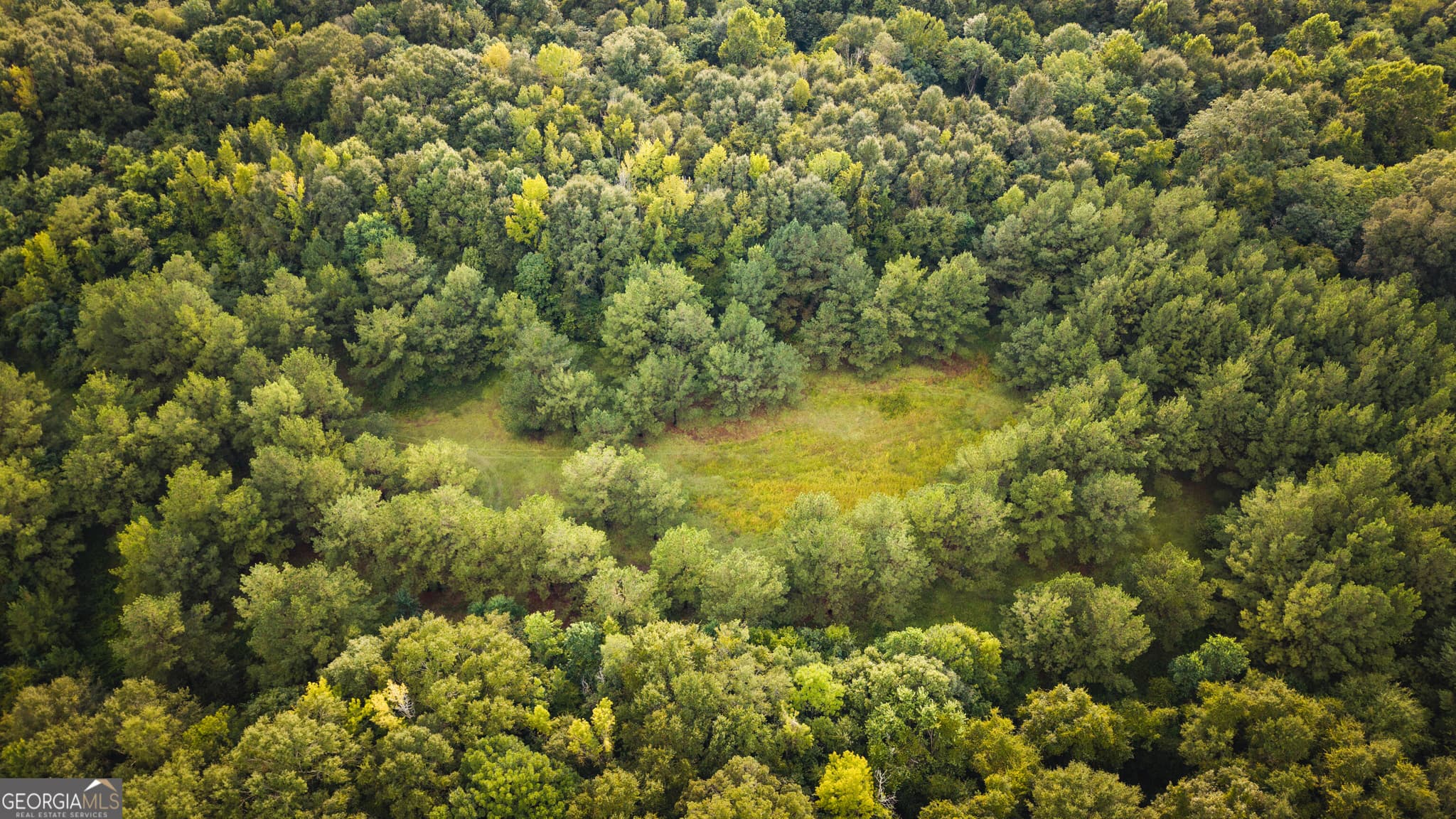 unimproved land for sale at 0 Chatham St Road, Montezuma, GA 31063 — photo 3