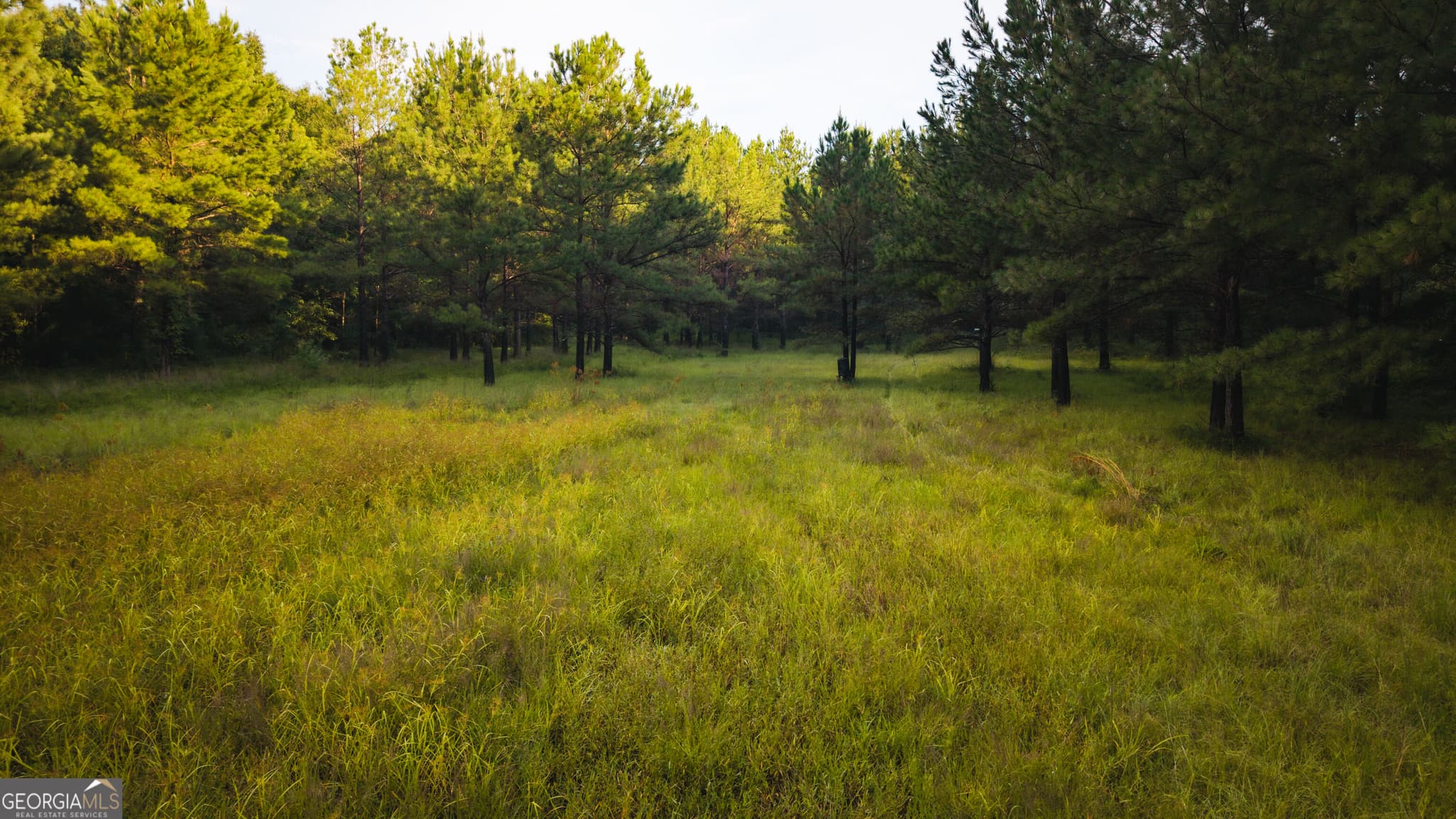 unimproved land for sale at 0 Chatham St Road, Montezuma, GA 31063 — photo 5