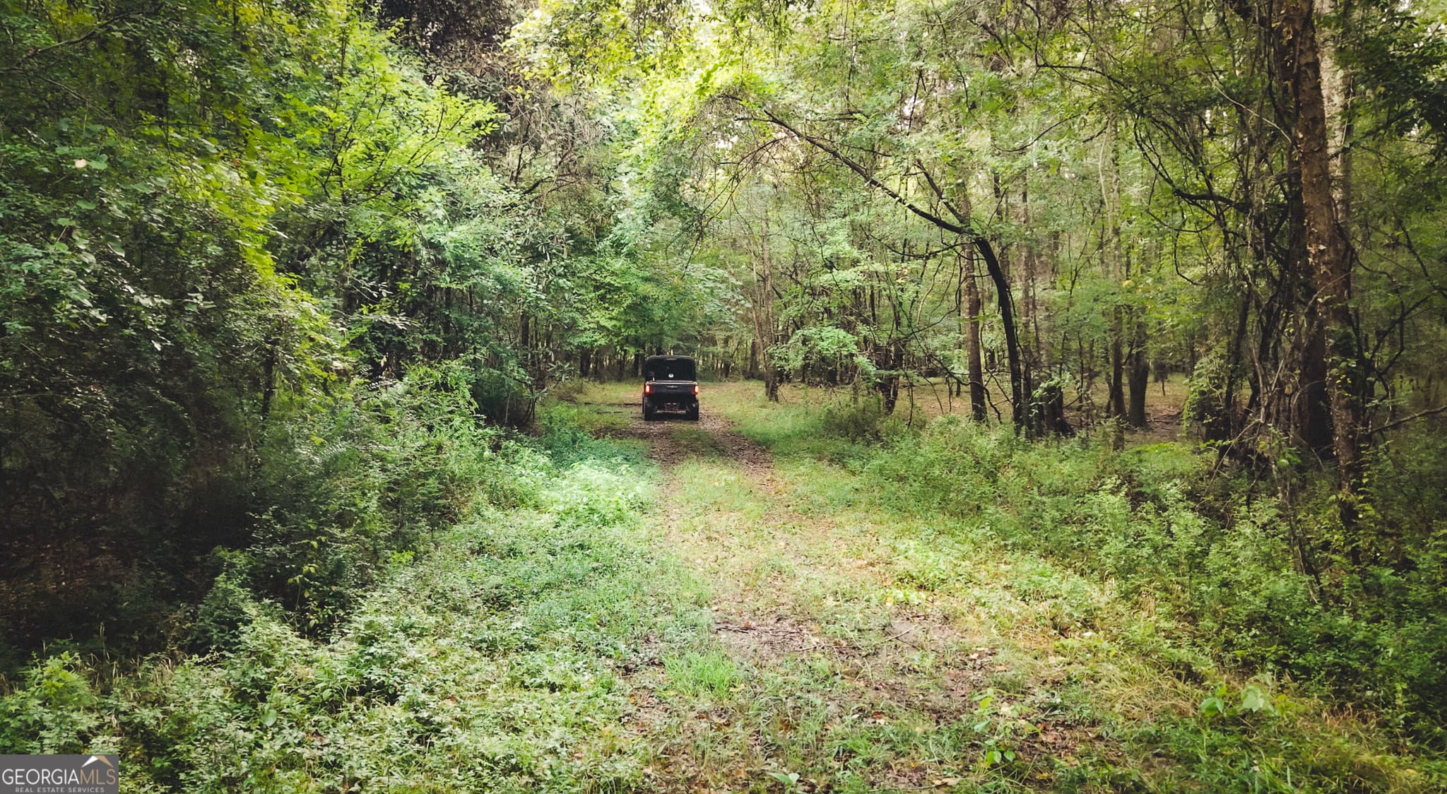 unimproved land for sale at 0 Chatham St Road, Montezuma, GA 31063 — photo 9