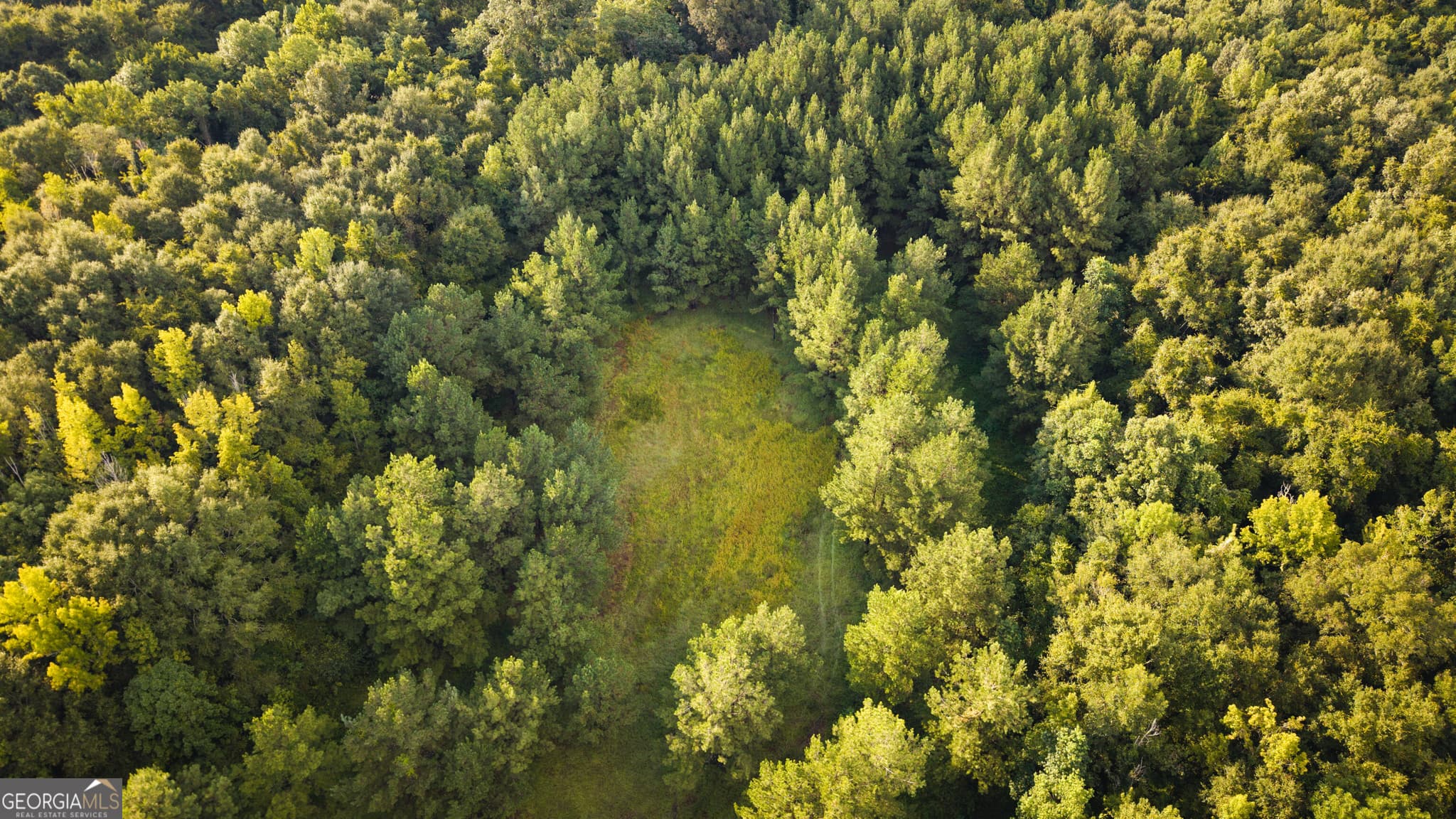 unimproved land for sale at 0 Chatham St Road, Montezuma, GA 31063 — photo 4