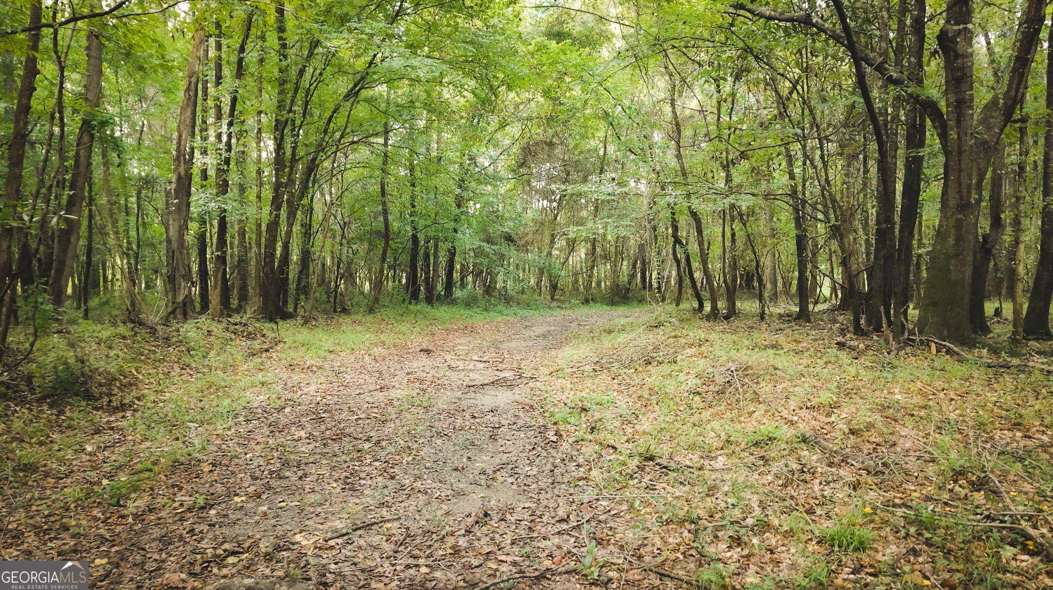 unimproved land for sale at 0 Chatham St Road, Montezuma, GA 31063 — photo 8