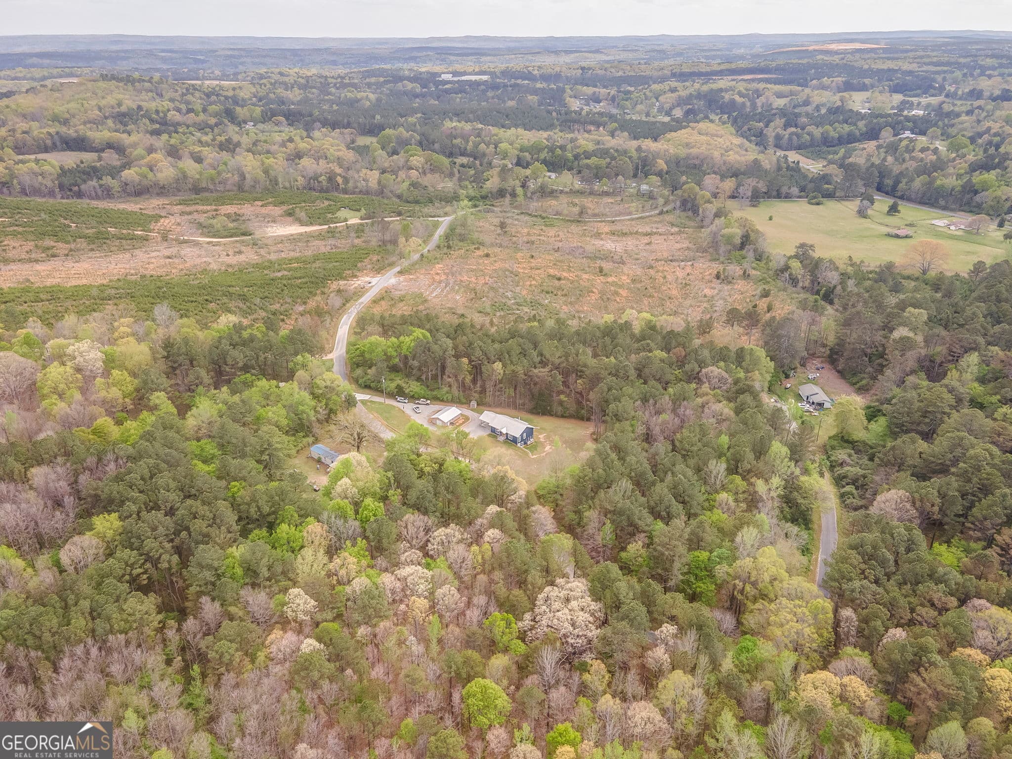 residential lot for sale at 0 David Price Road, Cedartown, GA 30125 — photo 4