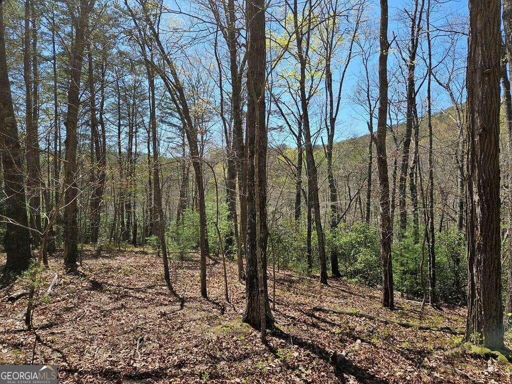 residential lot for sale at 5.20 Deer Crest Road, Blue Ridge, GA 30513 — photo 2