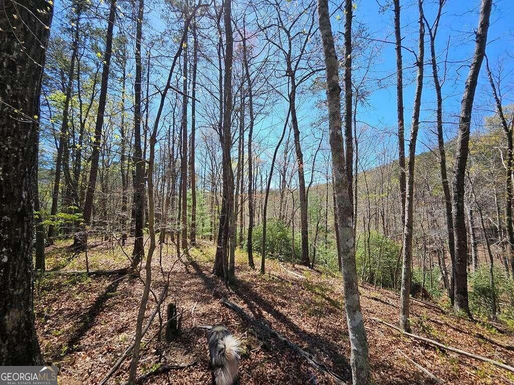 residential lot for sale at 5.20 Deer Crest Road, Blue Ridge, GA 30513 — photo 6