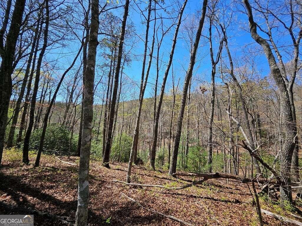 residential lot for sale at 5.20 Deer Crest Road, Blue Ridge, GA 30513 — photo 7
