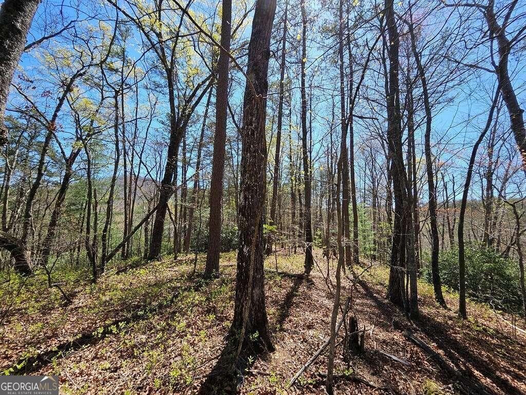 residential lot for sale at 5.20 Deer Crest Road, Blue Ridge, GA 30513 — photo 3