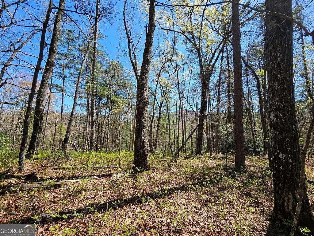 residential lot for sale at 5.20 Deer Crest Road, Blue Ridge, GA 30513 — photo 1 of 66