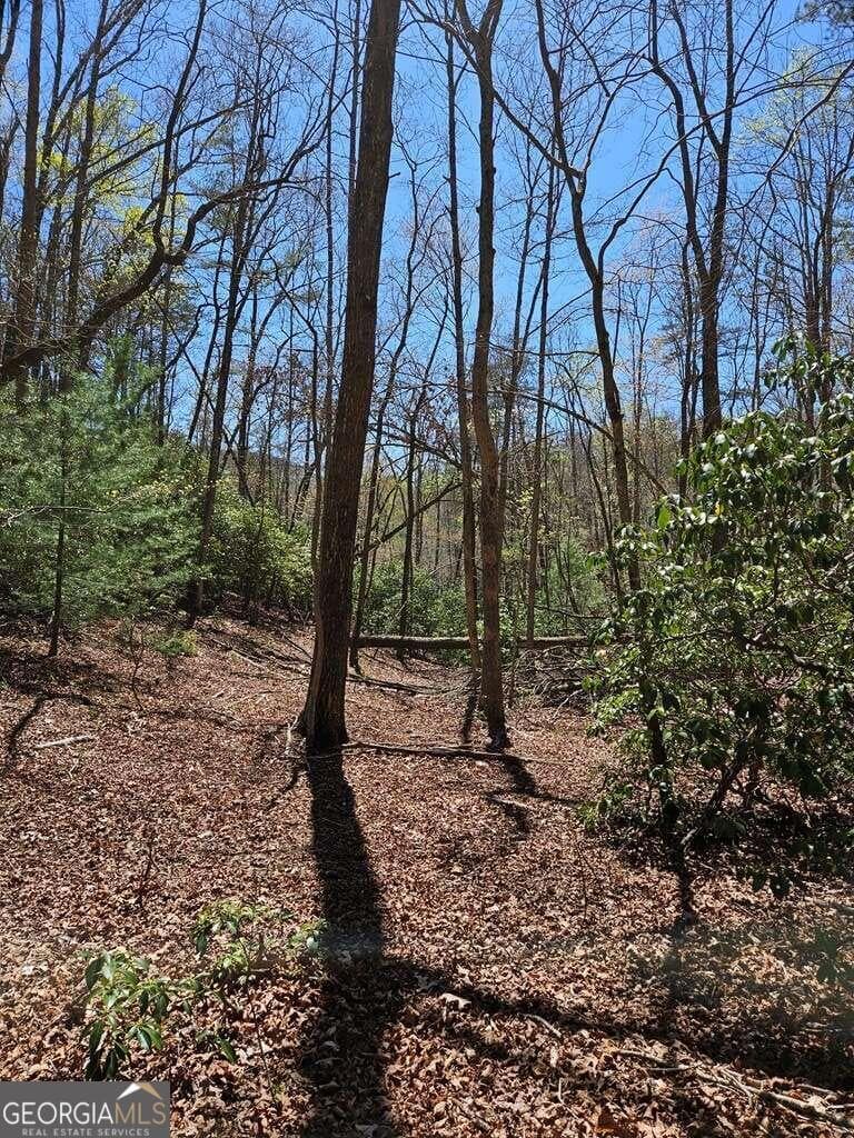 residential lot for sale at 5.20 Deer Crest Road, Blue Ridge, GA 30513 — photo 5