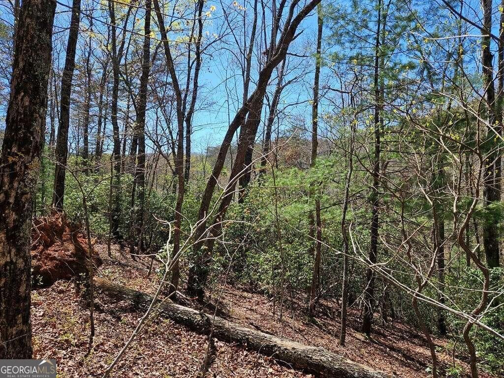 residential lot for sale at 5.20 Deer Crest Road, Blue Ridge, GA 30513 — photo 9