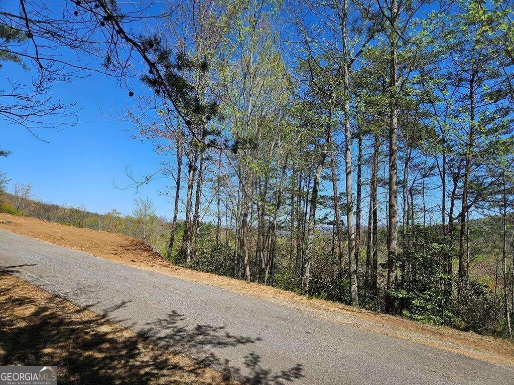 residential lot for sale at 5.20 Deer Crest Road, Blue Ridge, GA 30513 — photo 10