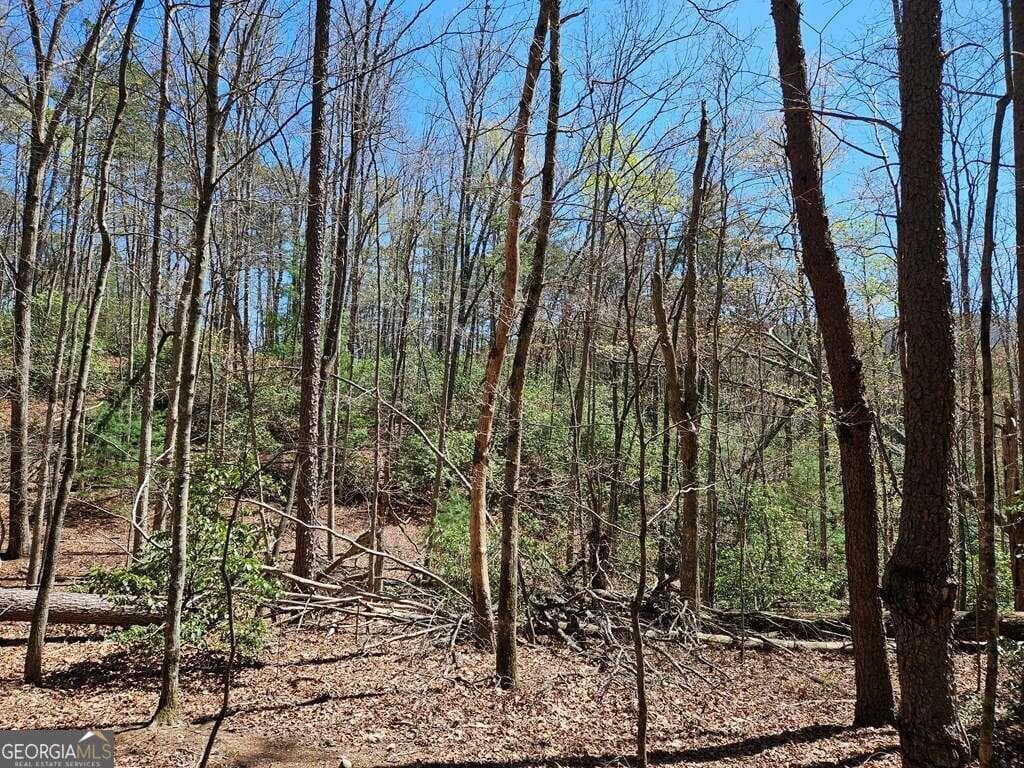 residential lot for sale at 5.20 Deer Crest Road, Blue Ridge, GA 30513 — photo 4