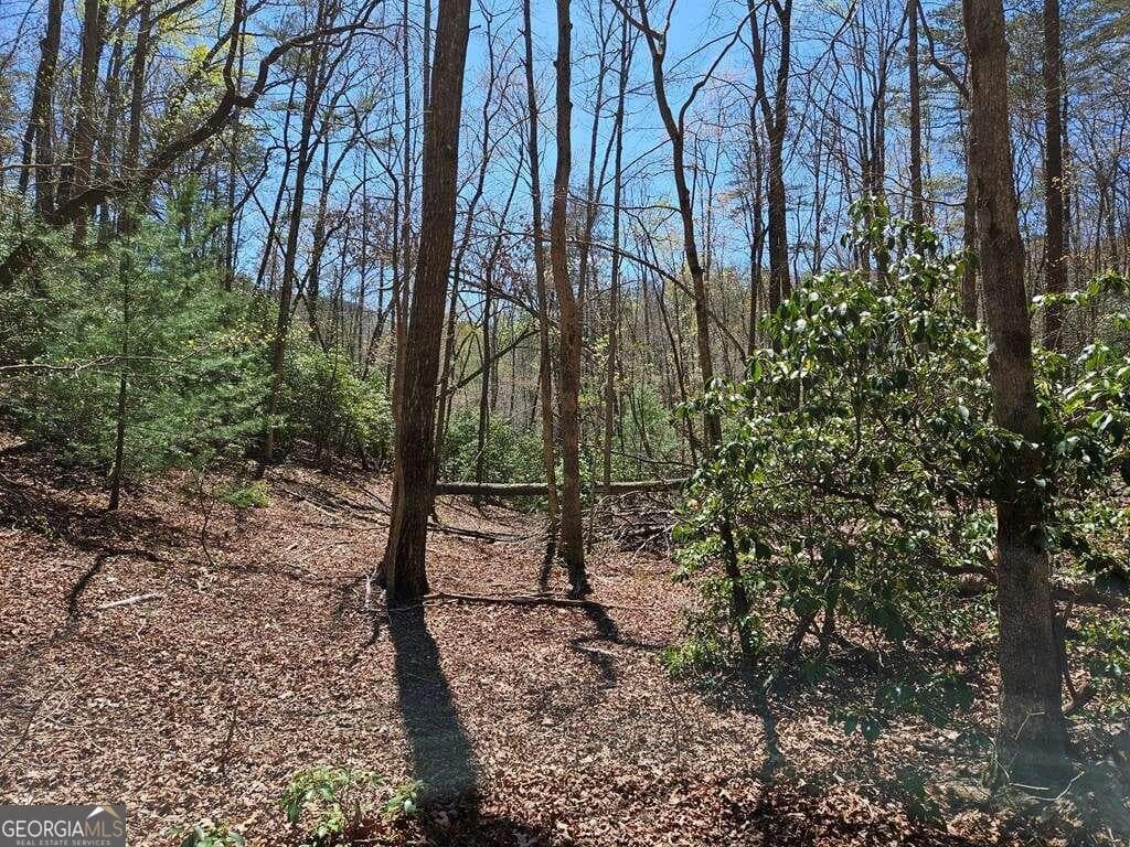 residential lot for sale at 5.20 Deer Crest Road, Blue Ridge, GA 30513 — photo 8