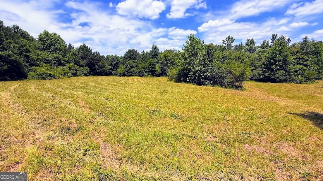 agriculture for sale at 0 Nix Road, Bremen, GA 30110 — photo 3