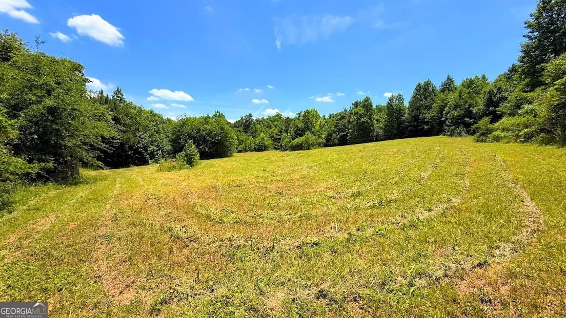 agriculture for sale at 0 Nix Road, Bremen, GA 30110