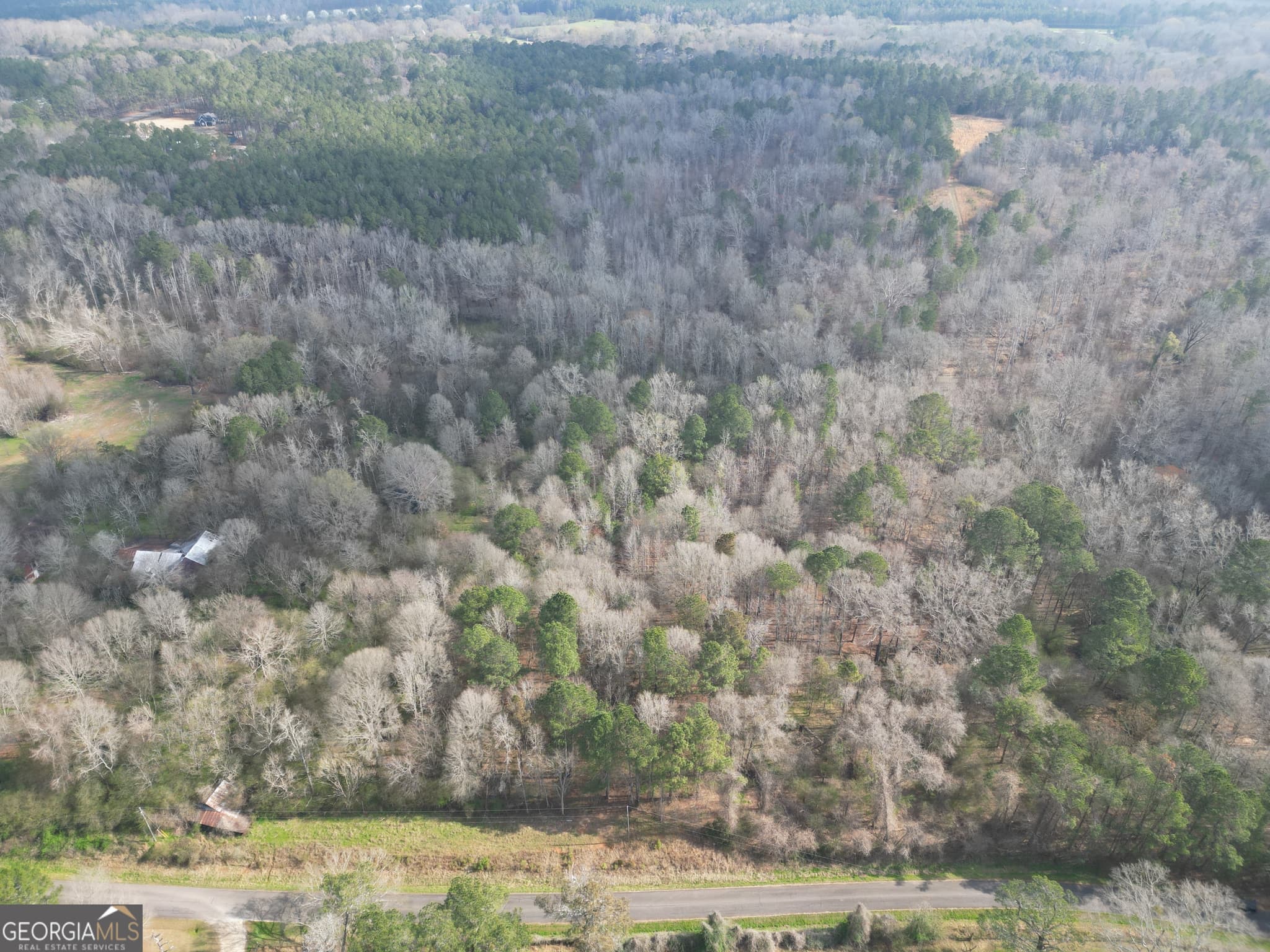 residential lot for sale at 0 Saffold Road, Buckhead, GA 30625 — photo 2